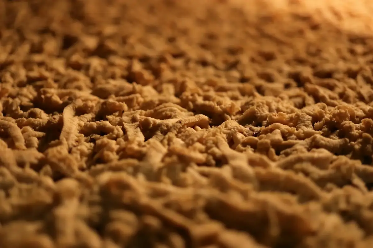 brown-carpet-close-up.webp