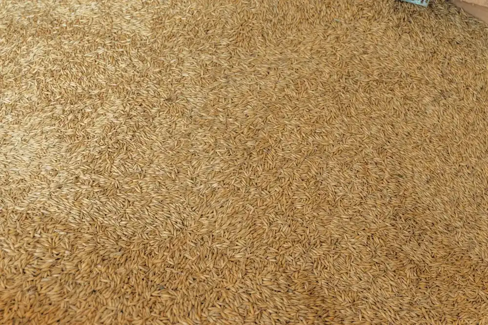 textured-brown-carpet.webp
