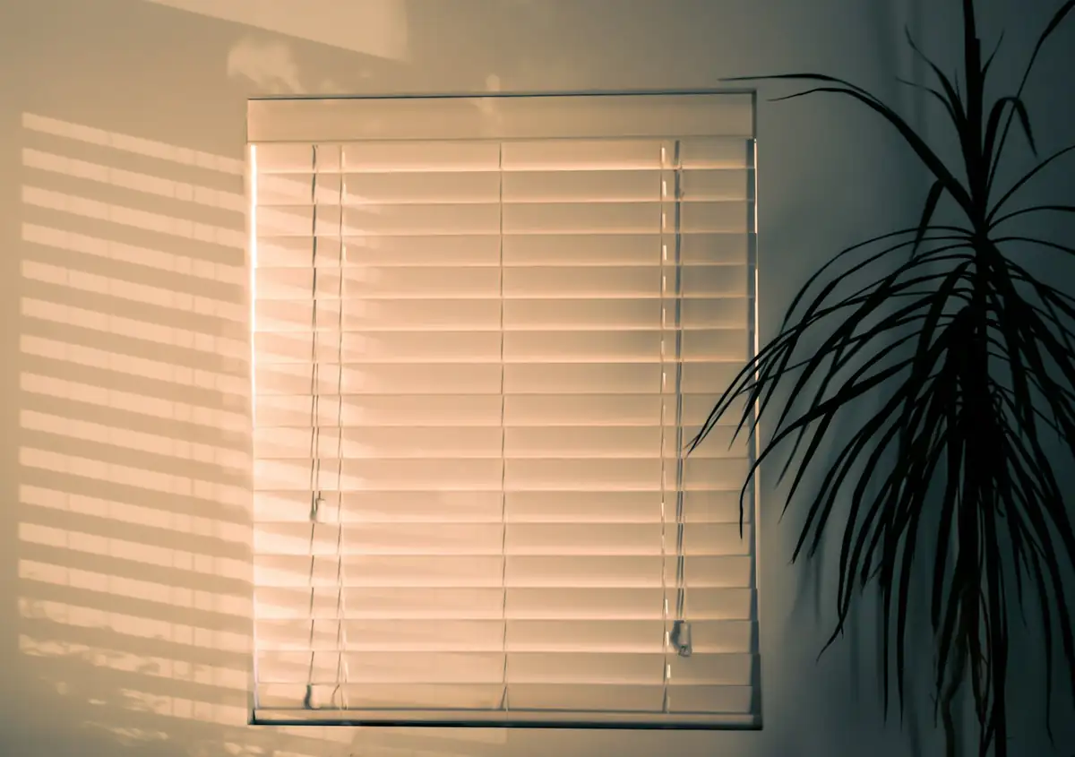 Blinds Cleaning