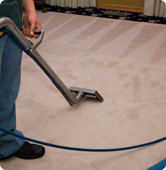 Carpet Cleaning Services