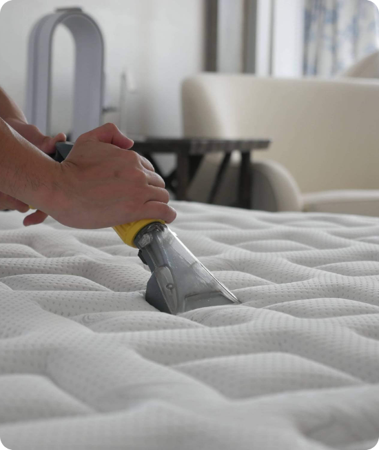 Professional Mattress Cleaning